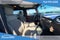 2008 Jeep Wrangler Sahara