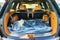 2027 Hyundai Palisade Calligraphy AWD
