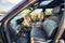 2027 Kia Telluride Hybrid SX-Prestige