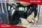 2016 Jeep Wrangler Unlimited Backcountry