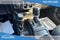 2020 Jeep Wrangler Unlimited Sport Altitude
