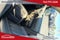 2022 GMC Canyon 4WD Crew Cab Short Box Denali