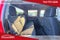 2023 Chevrolet Silverado 1500 4WD Crew Cab Short Bed LT with 2FL