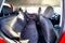 2016 Kia Soul Plus
